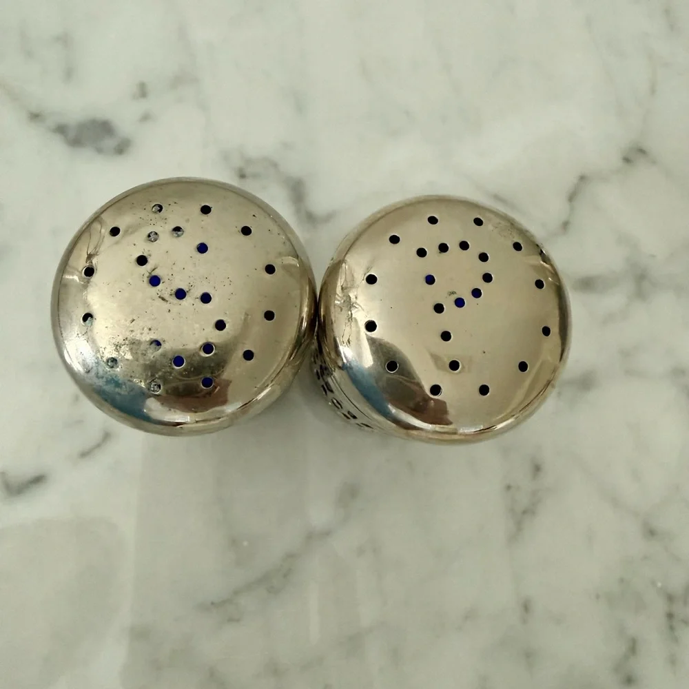 Blue and Silver Decorative Salt and Pepper Shakers - Unbranded